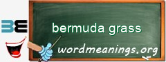 WordMeaning blackboard for bermuda grass